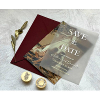 Vellum Save Date Cards With Photo